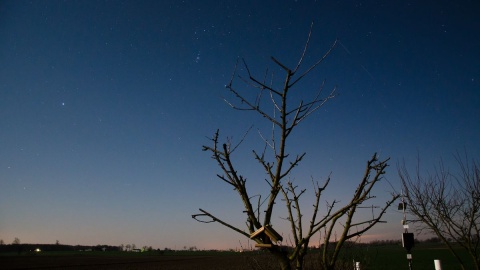 Evening © Piotr Kaźmierczak