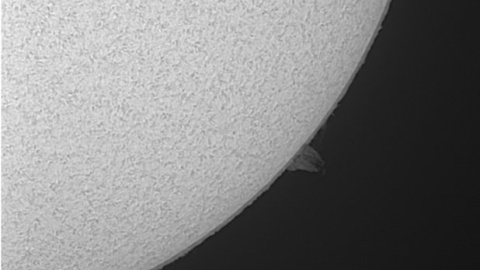 2021-01-24 Słońce H-alfa. Foto © Krzysztof Grzelczak