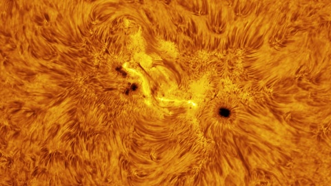 2021-01-24 Słońce H-alfa closeup. Foto © Łukasz Sujka