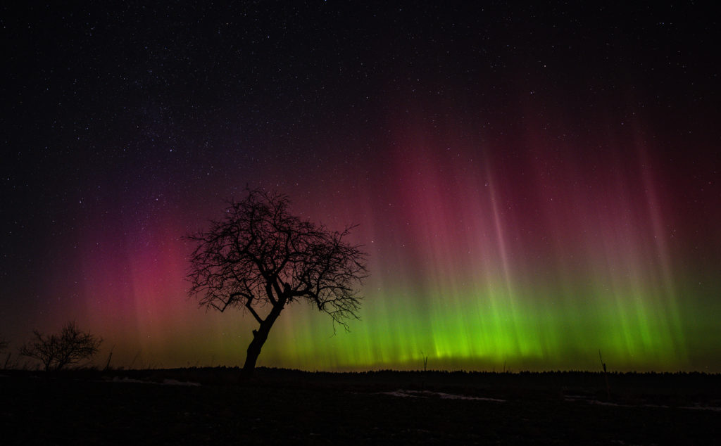 2026-01-19 Aurora Niedźwiady. Foto &copy; Marek Nikodem