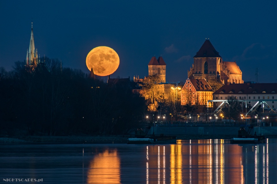 Foto © Piotr Potępa