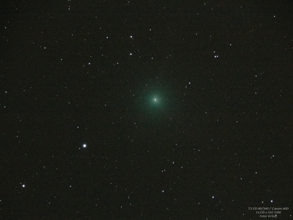 Comet Iwamoto © Krzysztof Grzelczak