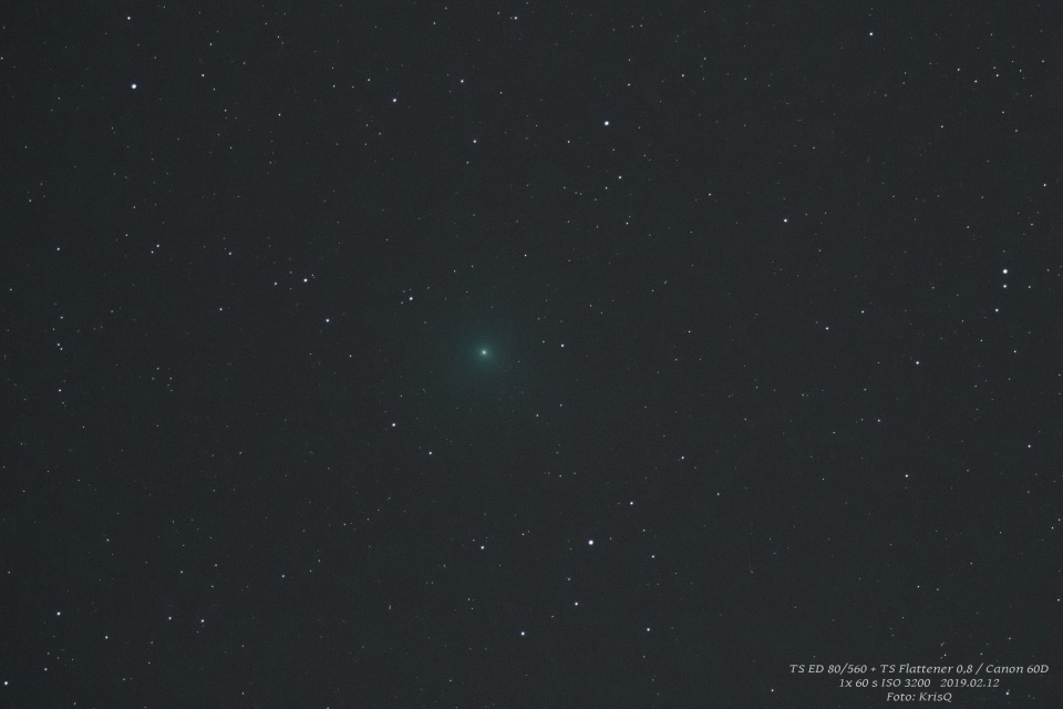 Comet Iwamoto © Krzysztof Grzelczak