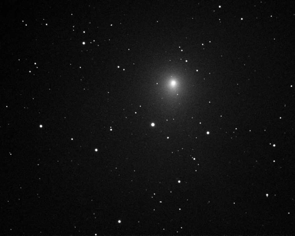 Comet Iwamoto © Zbigniew Rakoczy