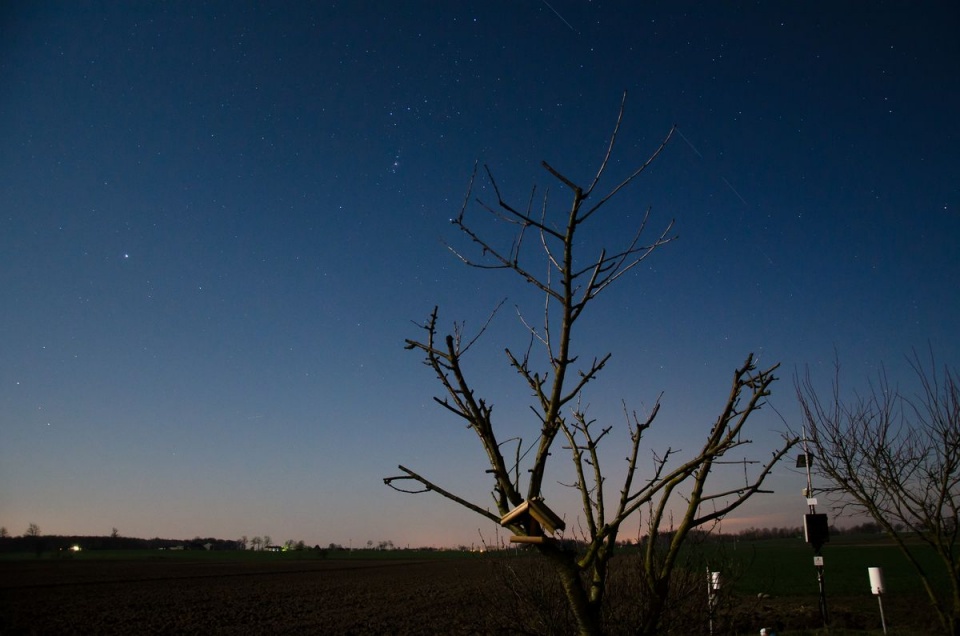 Evening © Piotr Kaźmierczak