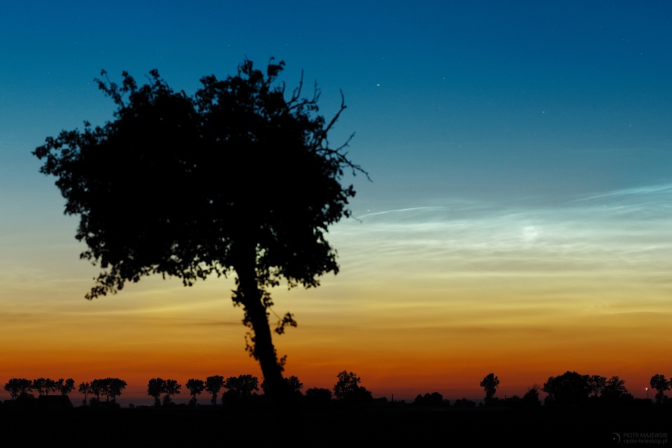 NLC Pigża © Piotr Majewski