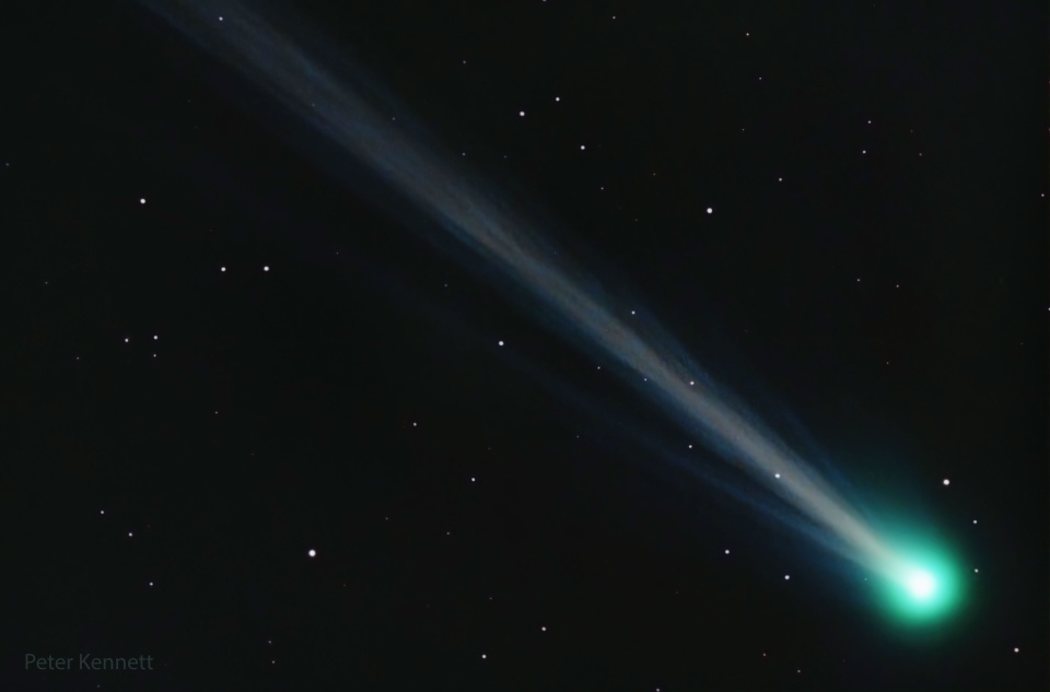 Kometa Nishimura © Peter Kennett