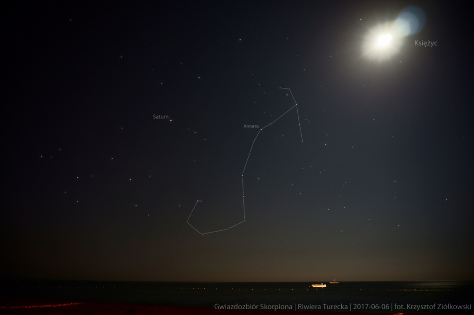 2017-06-06 / Scorpius. Foto © Krzysztof-Ziółkowski