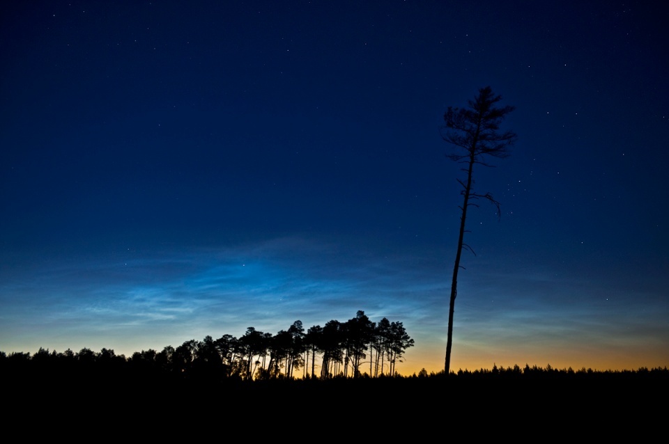 2017-06-21 / NLC. Foto © Marek Nikodem