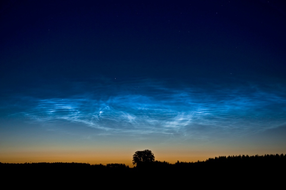 2017-06-21 / NLC. Foto © Marek Nikodem