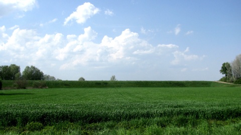 Co w gminie piszczy - Unisław. Fot. Zdzisław Drążkowski