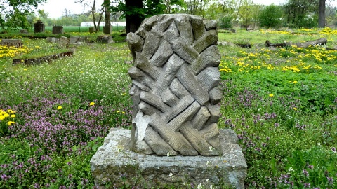 Co w gminie piszczy - Dragacz. Fragment pomennonickiego cmentarza w Dragaczu. Fot. Michał Słobodzian