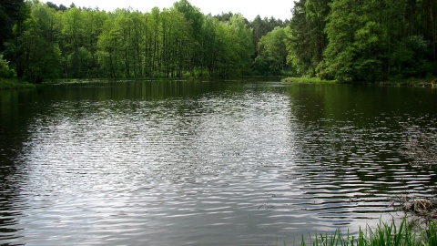 Co w gminie piszczy - Lniano. Fot. Zdzisław Drążkowski