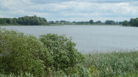 Co w gminie piszczy - Rogowo. Jezioro Rogowskie. Fot. Michał Słobodzian