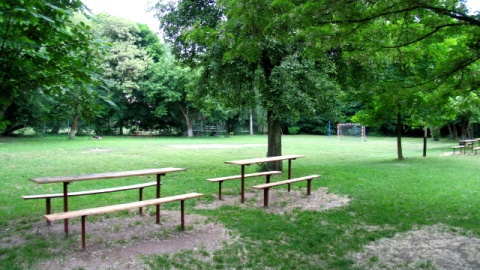 Co w gminie piszczy - Janowiec Wielkopolski. Fot. Tomasz Kaźmierski