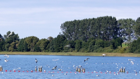 Co w gminie piszczy. Jezioro Wąsosze. Fot. Henryk Żyłkowski
