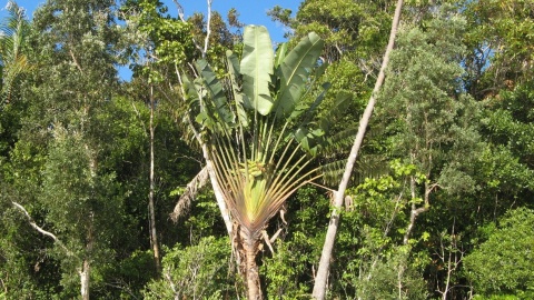 Podróż na Madagaskar. Fot. Andrzej Bohatyrewicz.