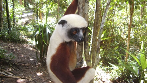 Podróż na Madagaskar. Fot. Andrzej Bohatyrewicz.