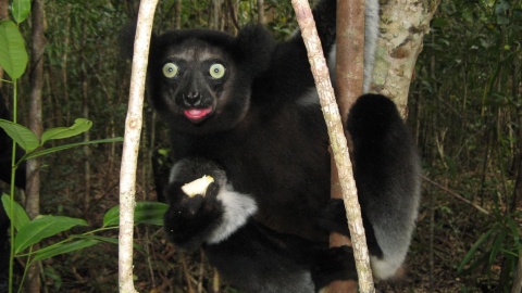 Podróż na Madagaskar. Fot. Andrzej Bohatyrewicz.