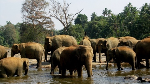 Sri Lanka w obiektywie Magdaleny Brzezińskiej.