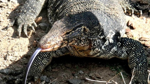 Sri Lanka w obiektywie Magdaleny Brzezińskiej.