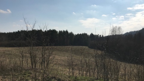 Górznieńsko-Lidzbarski Park Krajobrazowy. Fot. Tomasz Kaźmierski