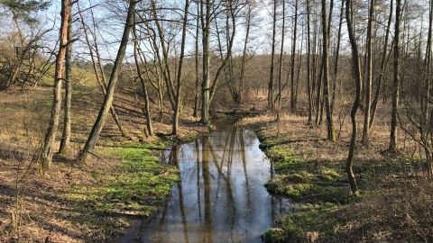 Górznieńsko-Lidzbarski Park Krajobrazowy. Fot. Tomasz Kaźmierski