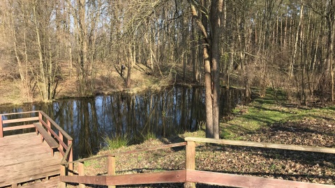 Górznieńsko-Lidzbarski Park Krajobrazowy. Fot. Tomasz Kaźmierski