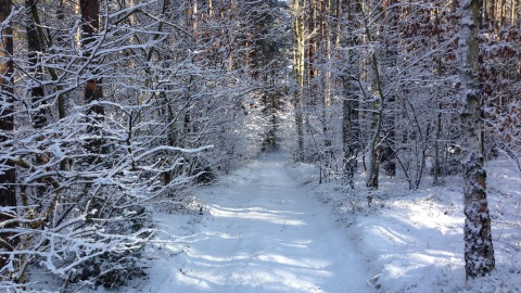 Zimowa przejażdżka rowerowa. Fot. Tomasz Kaźmierski