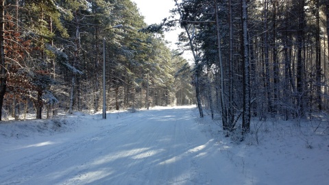 Zimowa przejażdżka rowerowa. Fot. Tomasz Kaźmierski