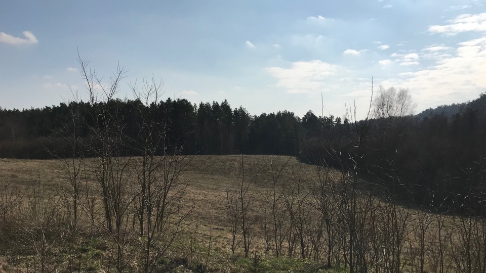 Górznieńsko-Lidzbarski Park Krajobrazowy. Fot. Tomasz Kaźmierski