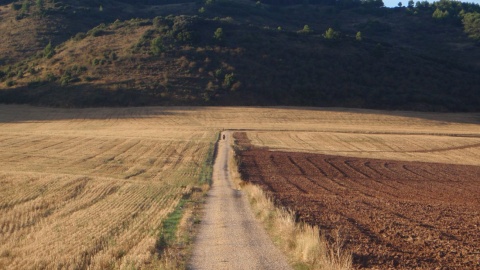 Droga św. Jakuba, nazywana często także po hiszpańsku Camino de Santiago. Fot. Kasia i Jacek Kiełpińscy