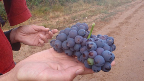 Droga św. Jakuba, nazywana często także po hiszpańsku Camino de Santiago. Fot. Kasia i Jacek Kiełpińscy