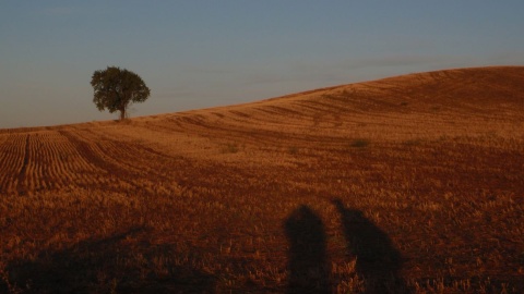 Droga św. Jakuba, nazywana często także po hiszpańsku Camino de Santiago. Fot. Kasia i Jacek Kiełpińscy