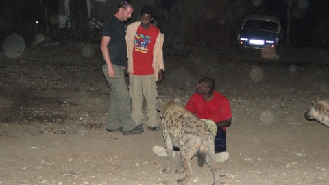 Harar - nocne karmienie hien. Fot. Radosław Kożuszek