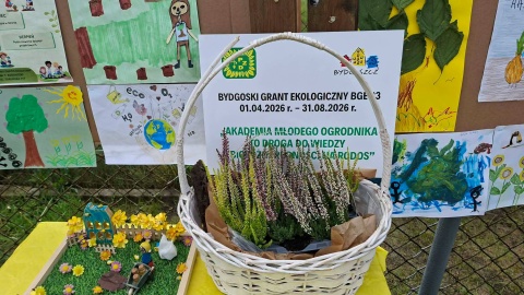 Piknik Rodzinny w ROD Kościuszki/fot. Małgorzata Burchardt