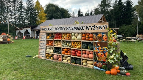 Festiwal Dyni w miejscowości Czarże/fot. Ireneusz Sanger