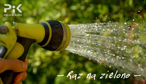 5 lipca 2025