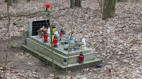 W miejscowości Lisak niedaleko Golubia-Dobrzynia, w lesie stoi stary, zniszczony pomnik. Fot. Adriana Andrzejewska