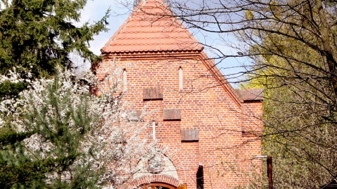 Fot. Henryk Żyłkowski