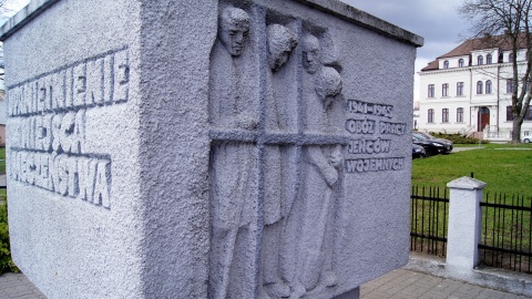 Fot. Henryk Żyłkowski