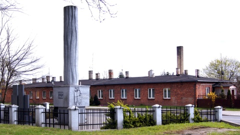 Fot. Henryk Żyłkowski