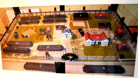 Fot. Henryk Żyłkowski