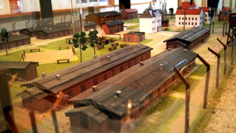 Fot. Henryk Żyłkowski