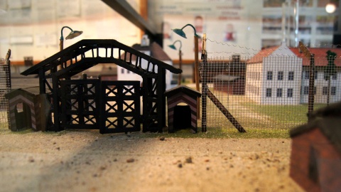 Fot. Henryk Żyłkowski