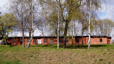 Fot. Henryk Żyłkowski