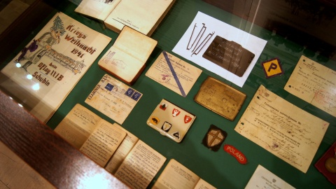 Fot. Henryk Żyłkowski