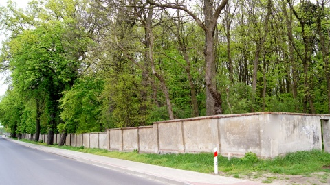 Park Gordona w Laskowicach. Fot. Henryk Żyłkowski