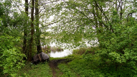 Park Gordona w Laskowicach. Fot. Henryk Żyłkowski