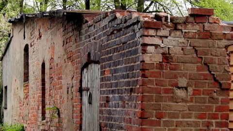 Park Gordona w Laskowicach. Fot. Henryk Żyłkowski
